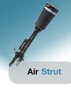 Air Strut